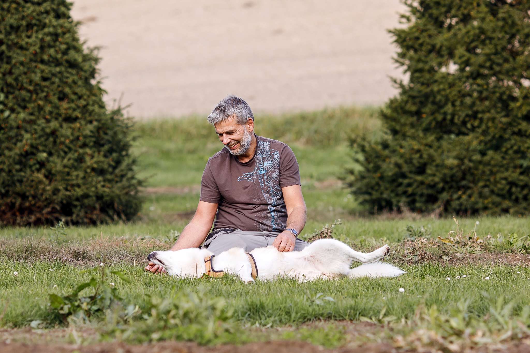 Hundeschule DogGeeks® TonCane: Online & Mobil, Voßbarg 23 in Seevetal