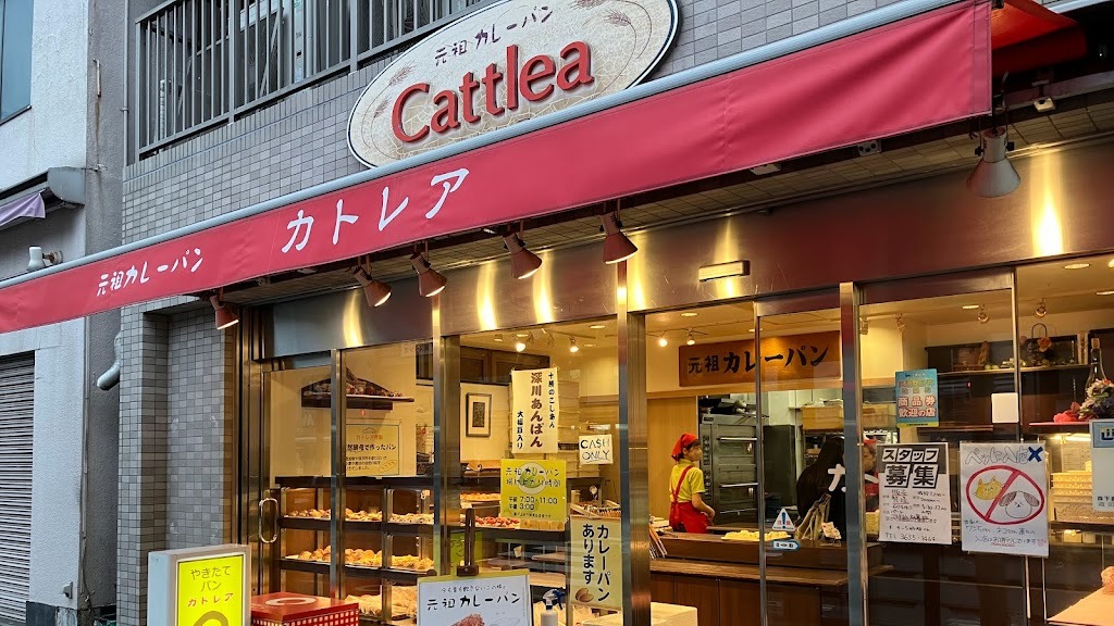 Images カトレア