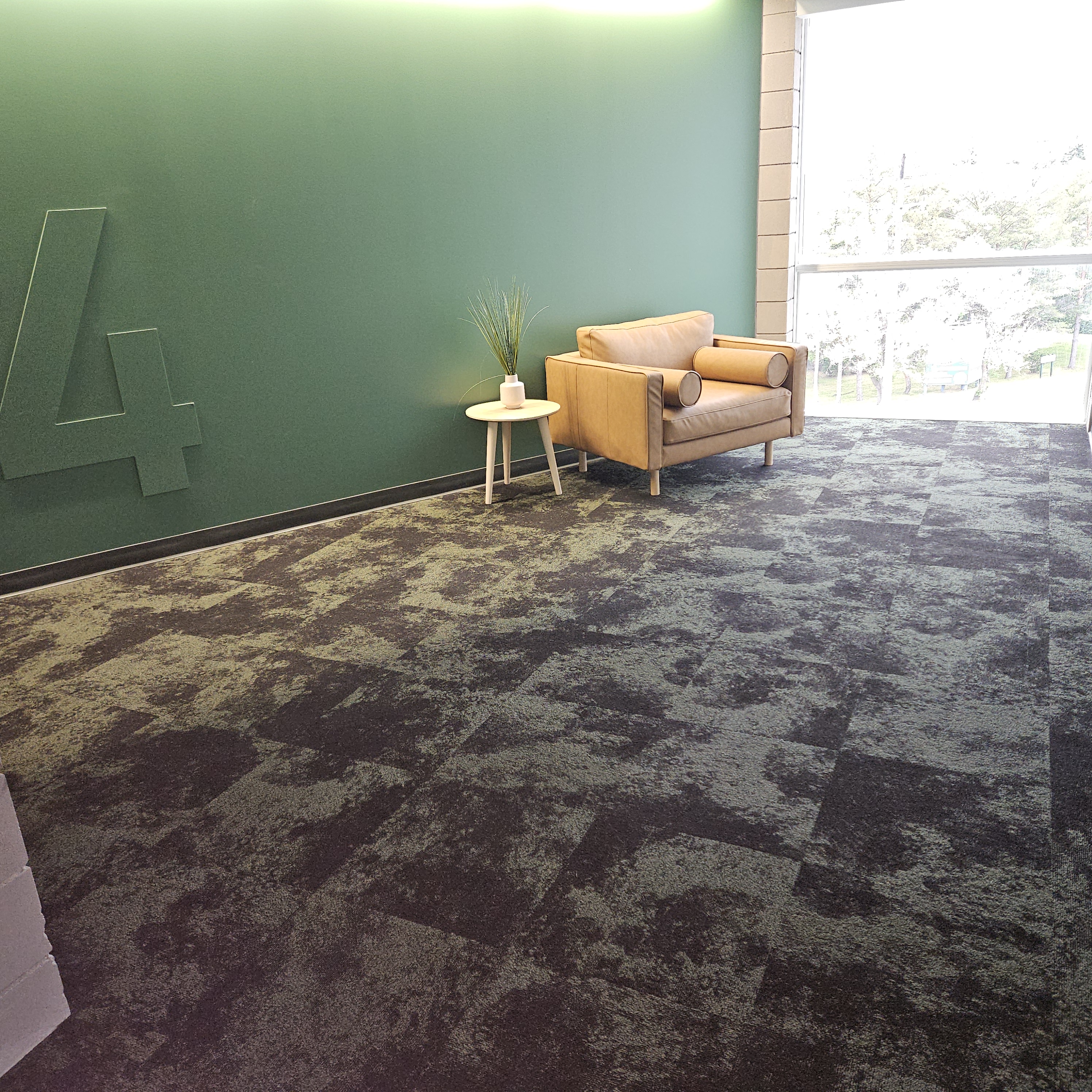 Images Santos Carpet Cleaning