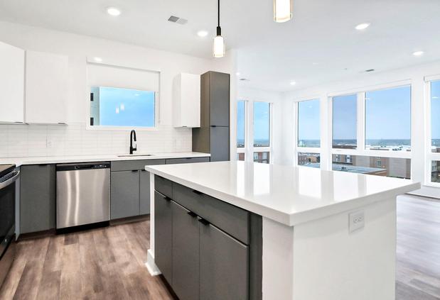 Images The Palms 1101