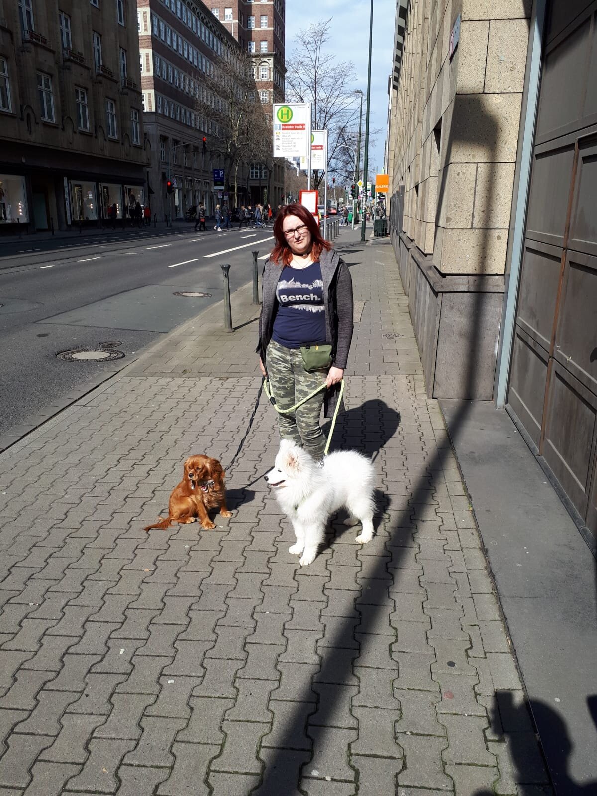 Bilder Hundezentrum Lapki