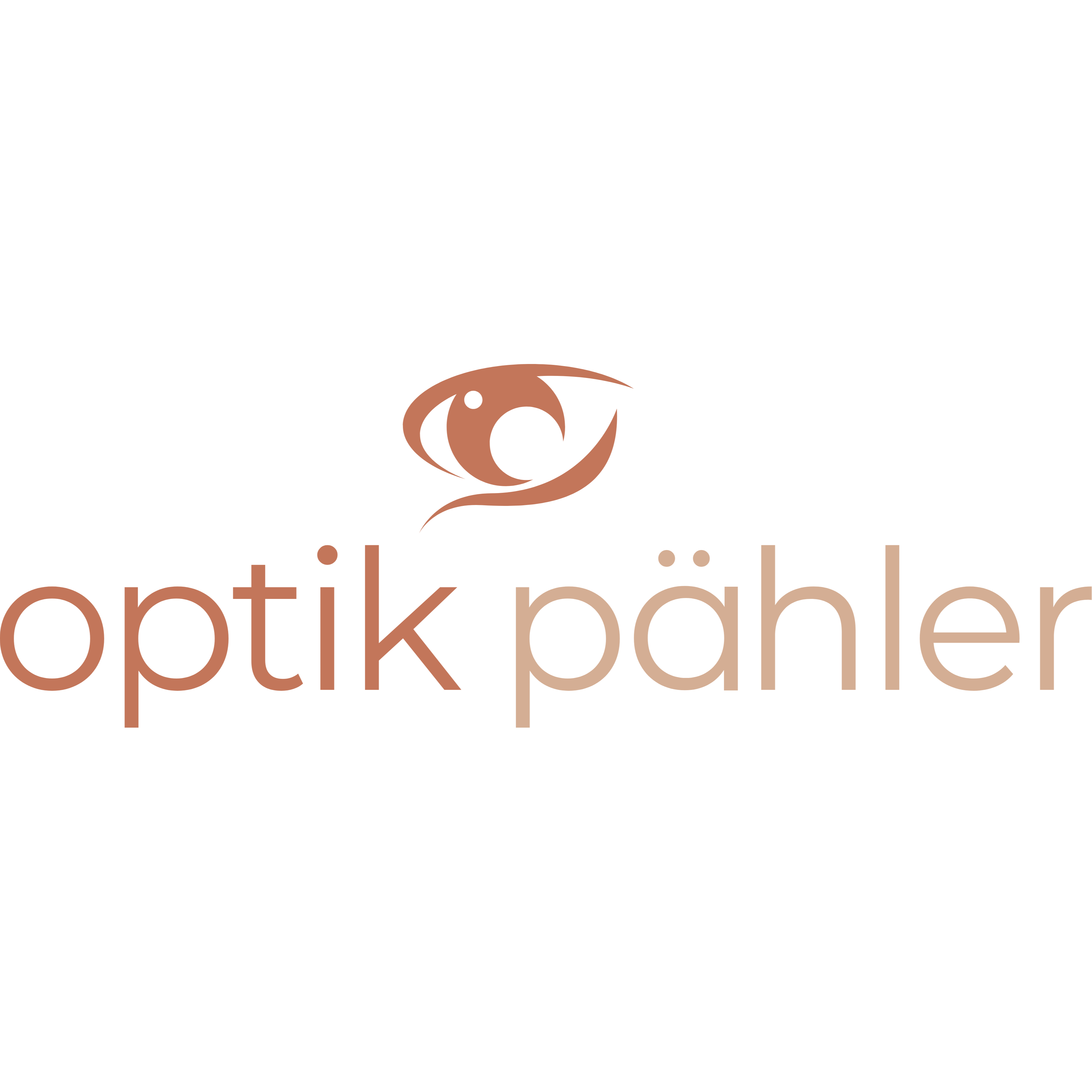 Optik Pähler in Hofheim am Taunus - Logo