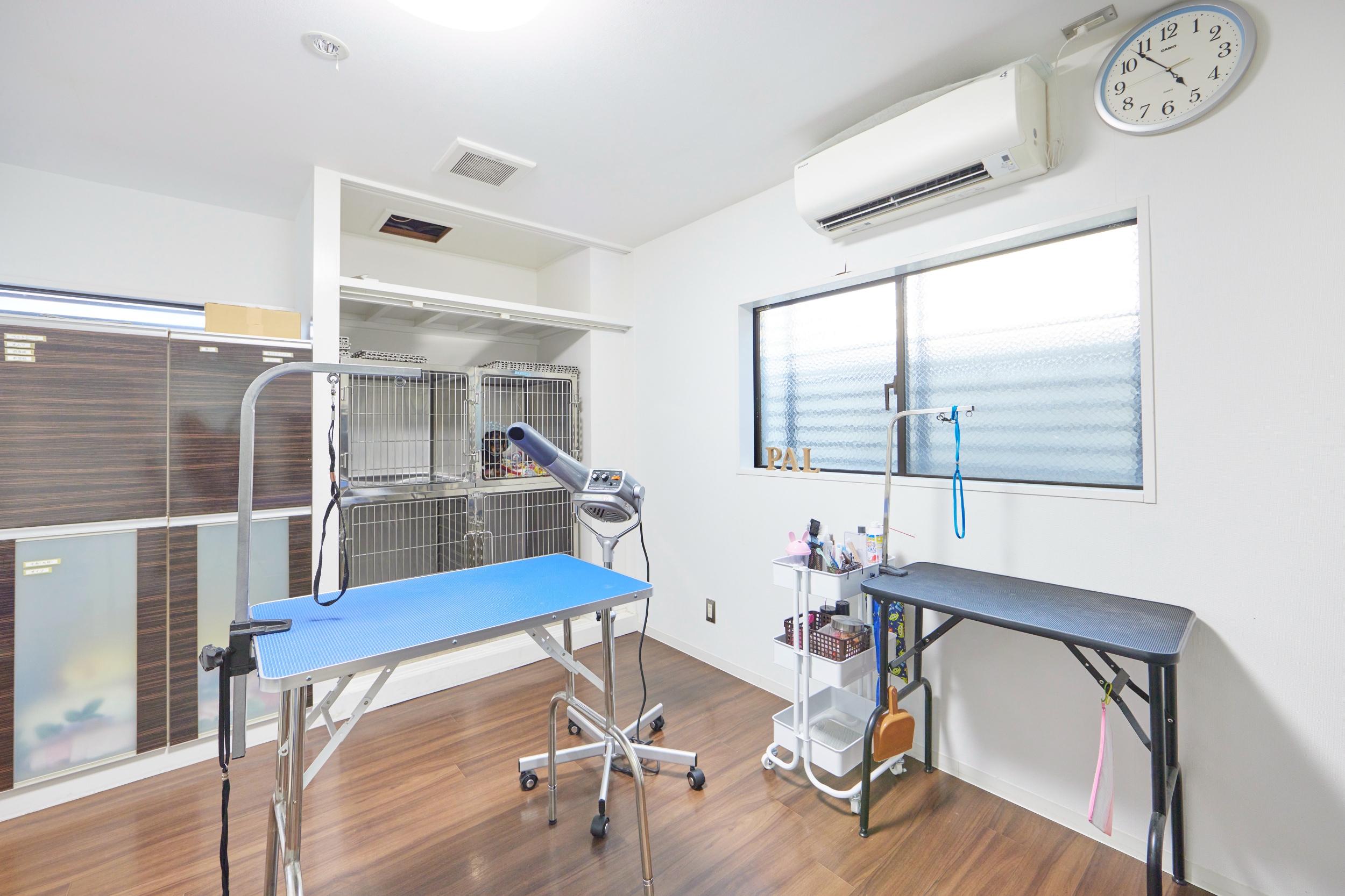 Images 飯塚パル動物病院 PAL動物病院グループ