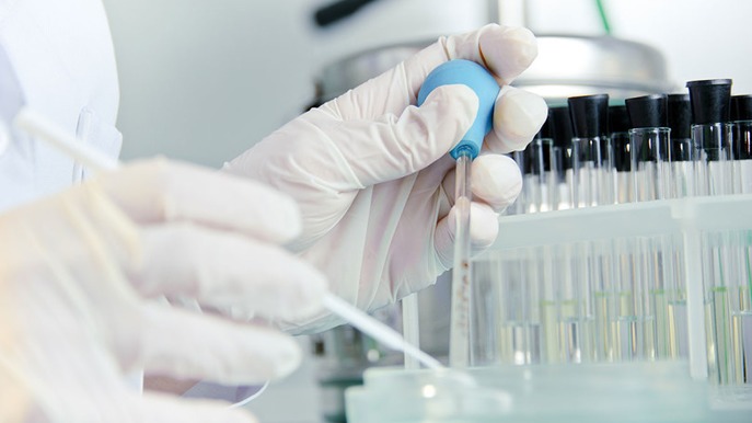 Images Saybolt Danmark A/S