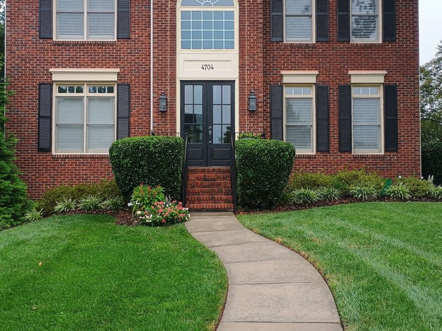 Images D and B Exterior Solutions