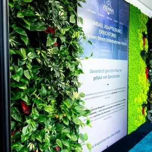 VCM Bau GmbH, Stephansplatz 8/20 in Wien