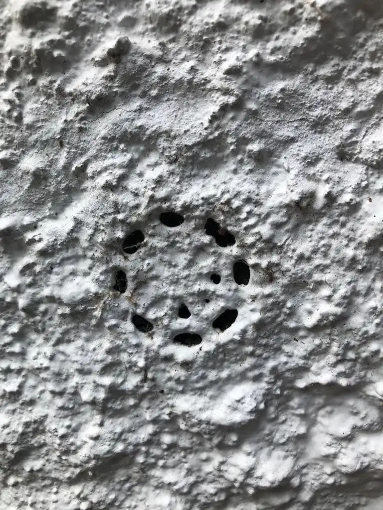 Images Damp Detectives
