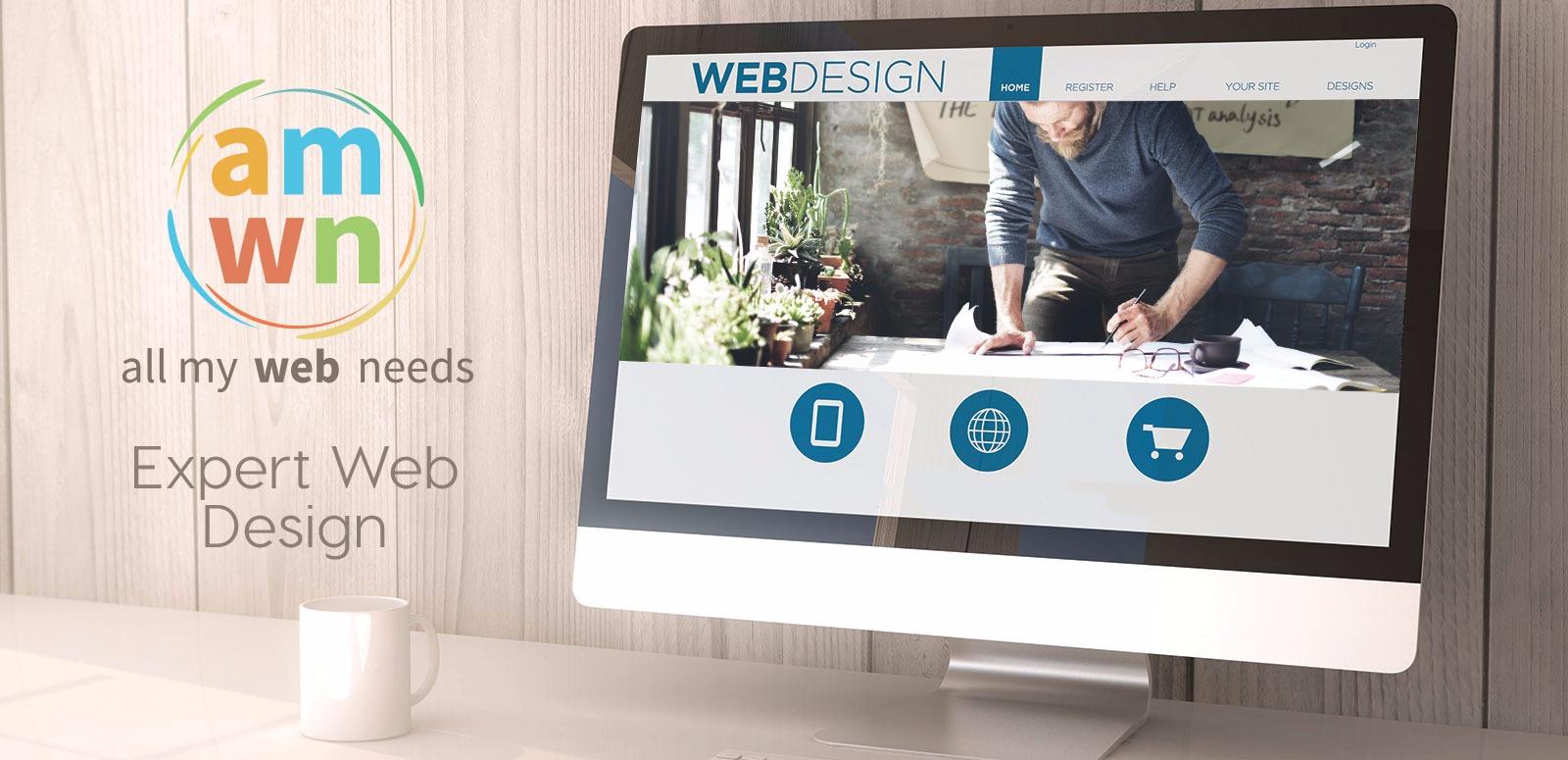 Expert Web Design