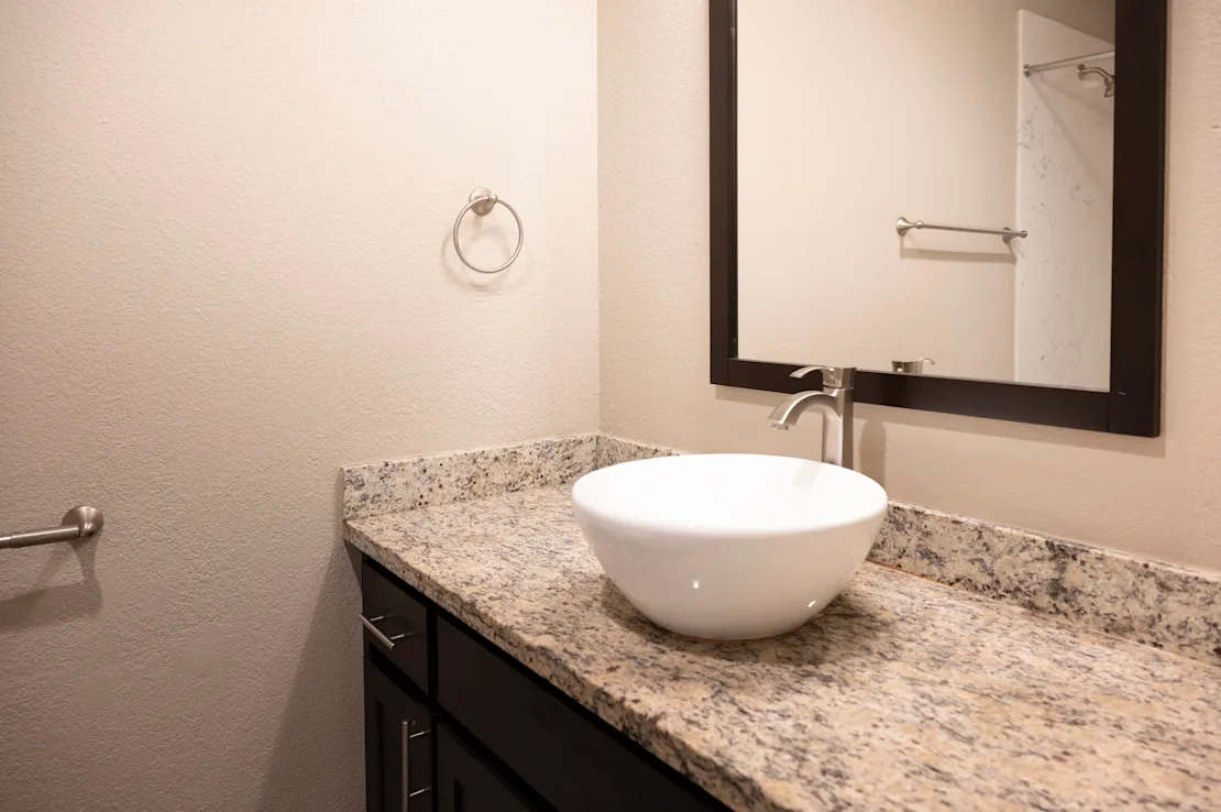 a bathroom with a bowl sink on a counter and a mirror