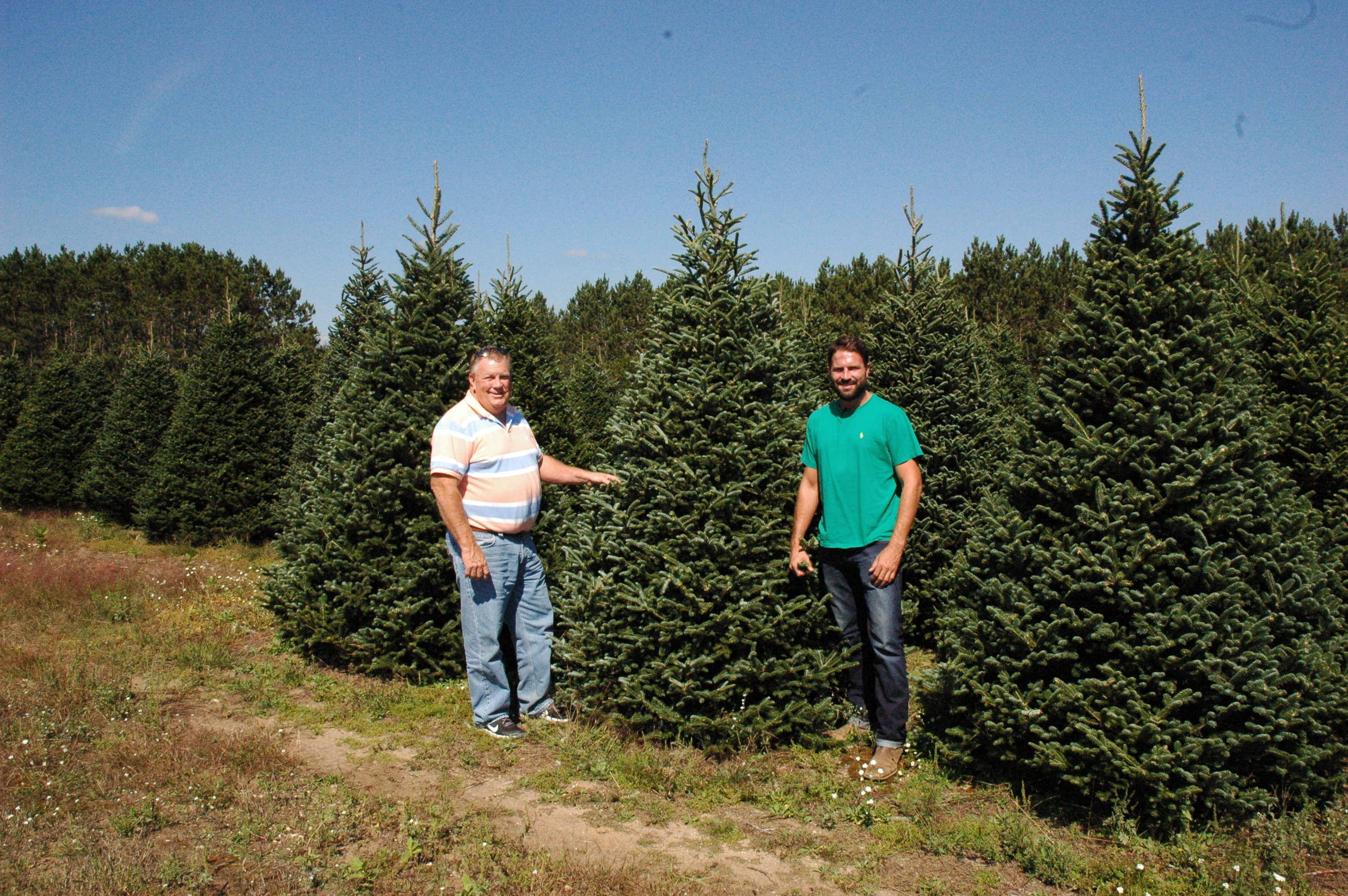 Sullivan Farms Christmas Trees