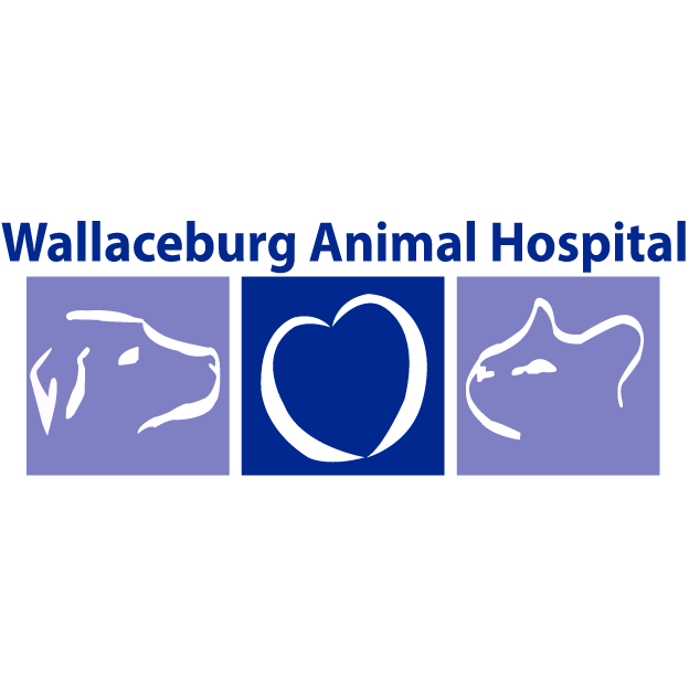 Wallaceburg Animal Hospital