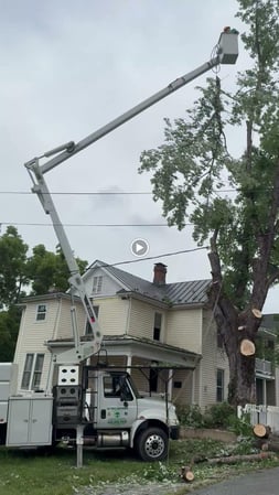 Images ER Tree Services LLC