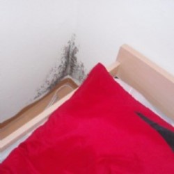 Tiewald GmbH, Am Anger 9 in Mattersburg