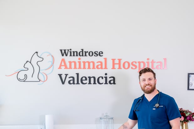 Images Windrose Animal Hospital Valencia