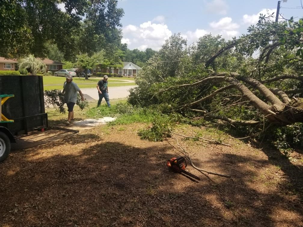 Insurance & Documentation for Tree Damage - Tree Removal Company serving Columbia, Irmo, Lexington, SC and the surrounding areas of Orangeburg, SC.
Under challenging conditions such as heavy rains or winds, our technicians work quickly to prevent further damage to your property. We also provide documented evidence and photographs for insurance purposes as part of our emergency tree removal services in Columbia, SC and Surrounding Areas.