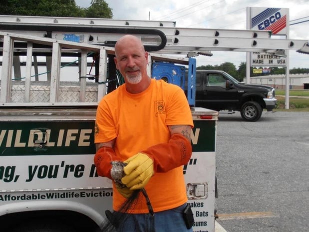 Images Do It Yourself Pest Control