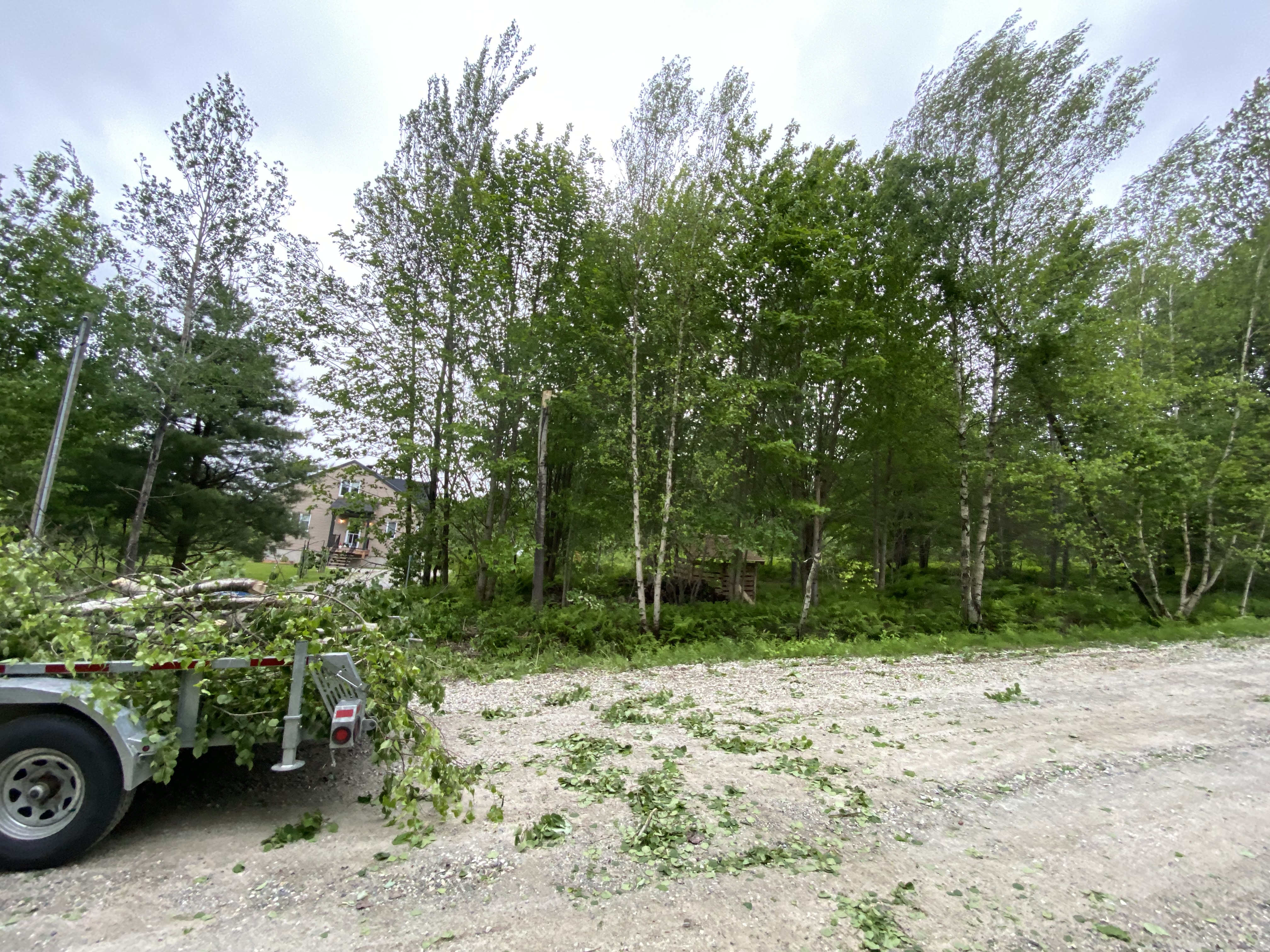 Images Altitude Abattage - Services d'arbres, Élagage, Émondage Eastman