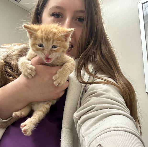 Images VCA All Pet Animal Hospital/Taylorsville
