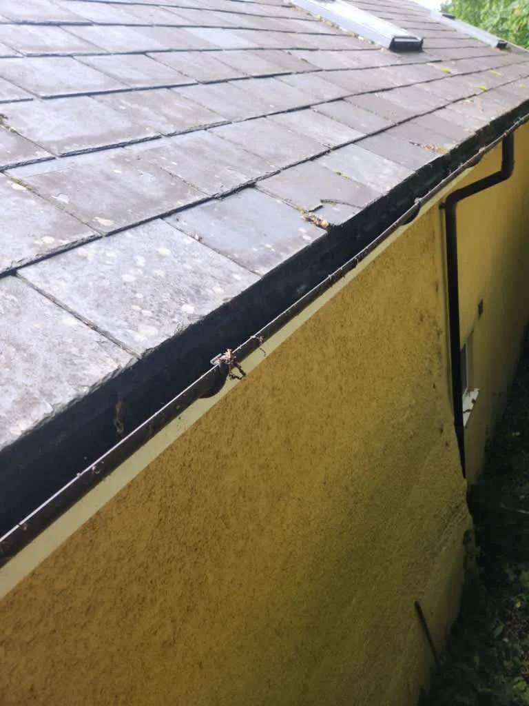 Images Master Moves Man & Van