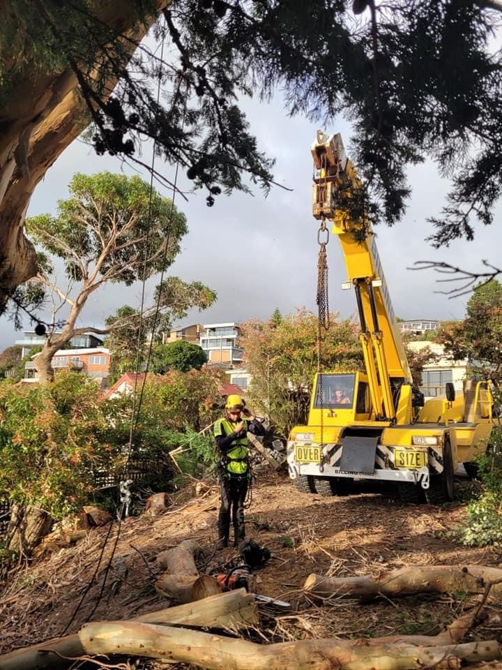 Images E&T Tree Services And Stump Grinding