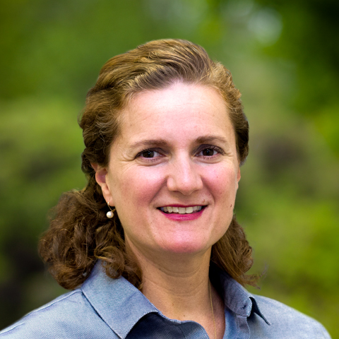 Heidi M. Stroessner-Johnson