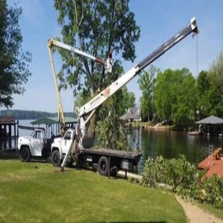 Images Childress Complete Tree Service