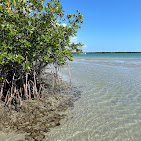 Images Treasure Coast Boat Rentals