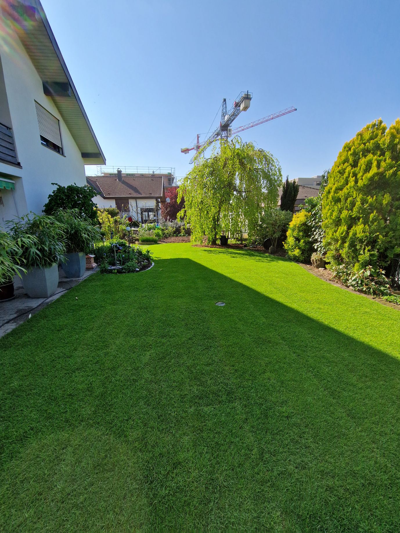 Bilder Simart Gartenbau GmbH