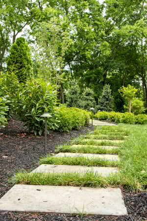 Images Annabelle Landscapes