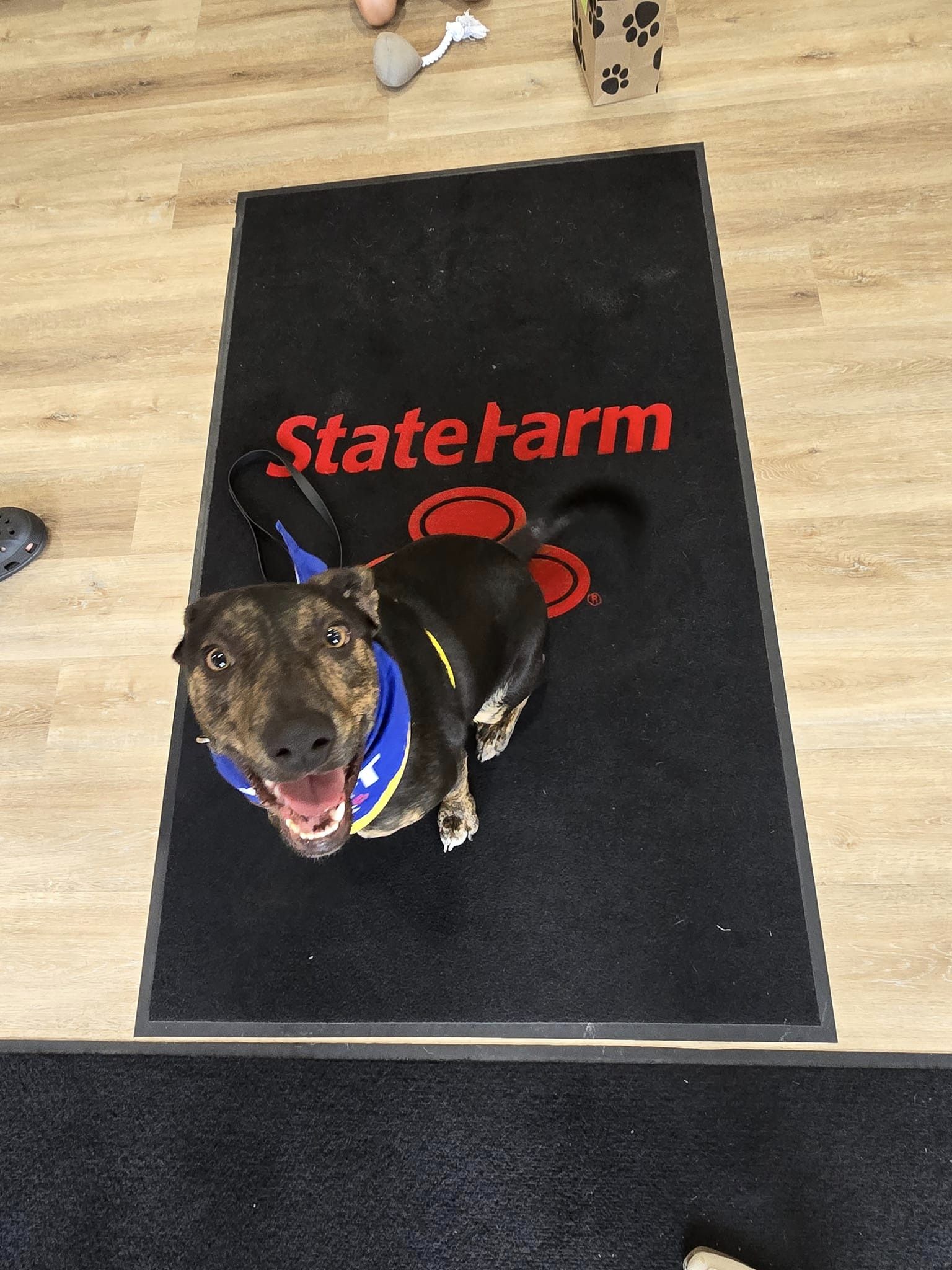 Shawn Collins - State Farm Insurance Agent Image