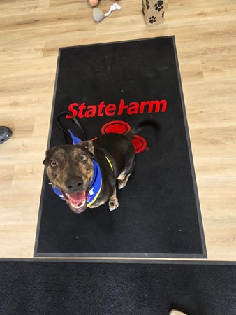 Images Shawn Collins - State Farm Insurance Agent