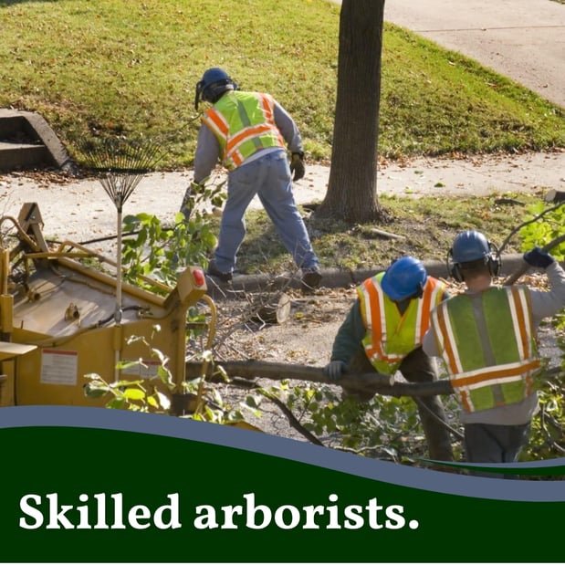 Images Spears Tree Experts Inc.