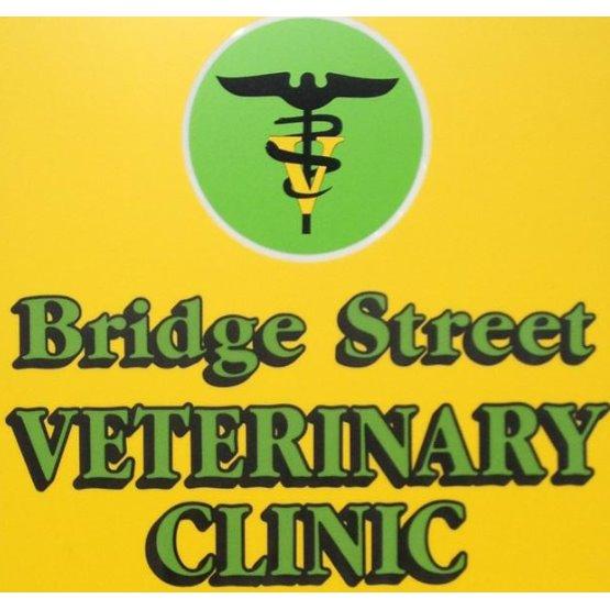 Bridge Street Veterinary Clinic Logo