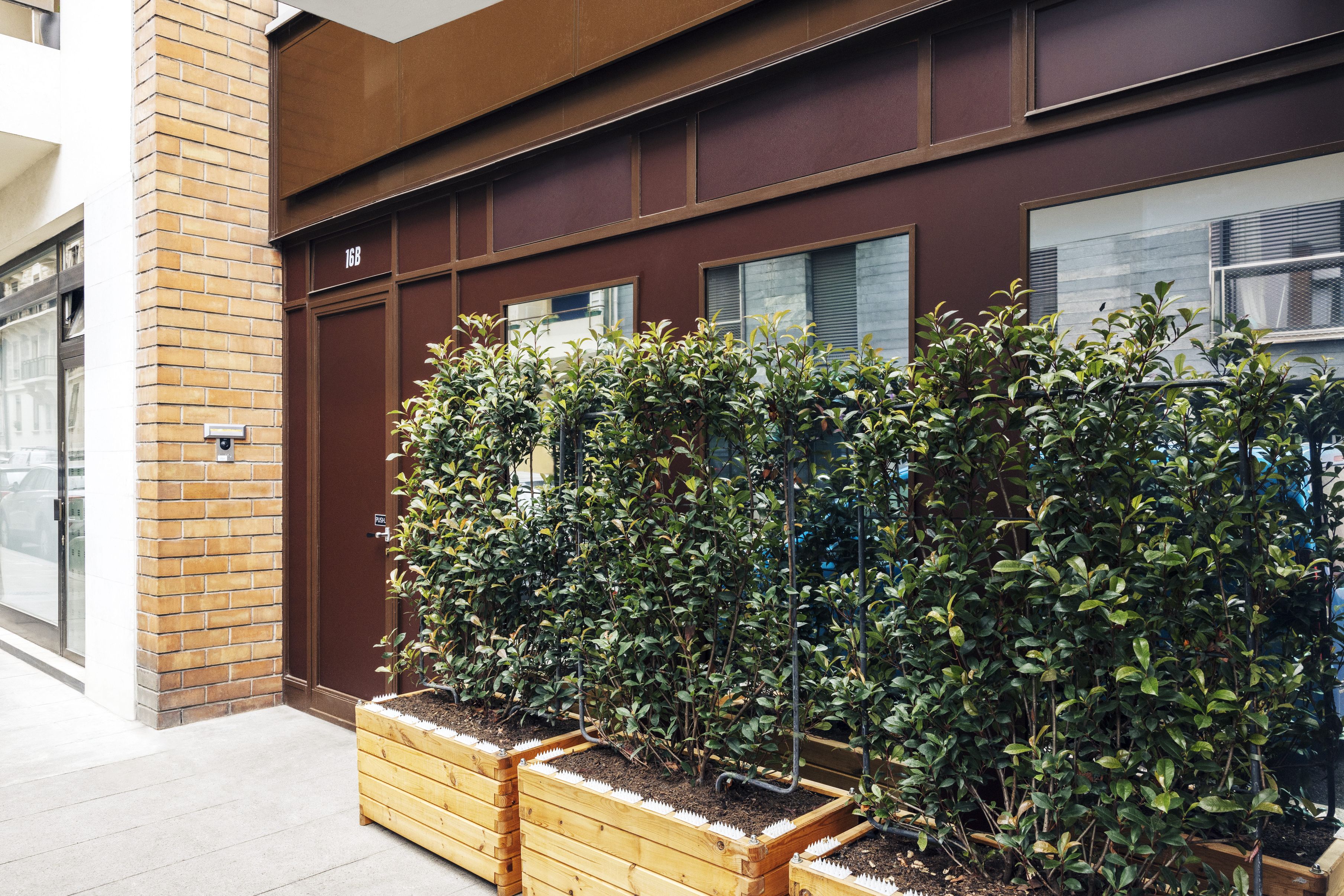 Bilder Felina Escort Geneve