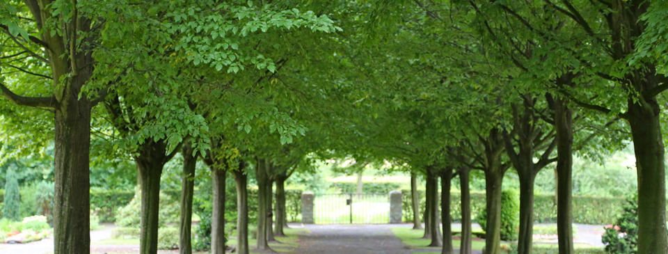 Bild 1 Bönen-Flierch - Ev. Kirchengemeinde Bönen (Friedhof) in Bönen