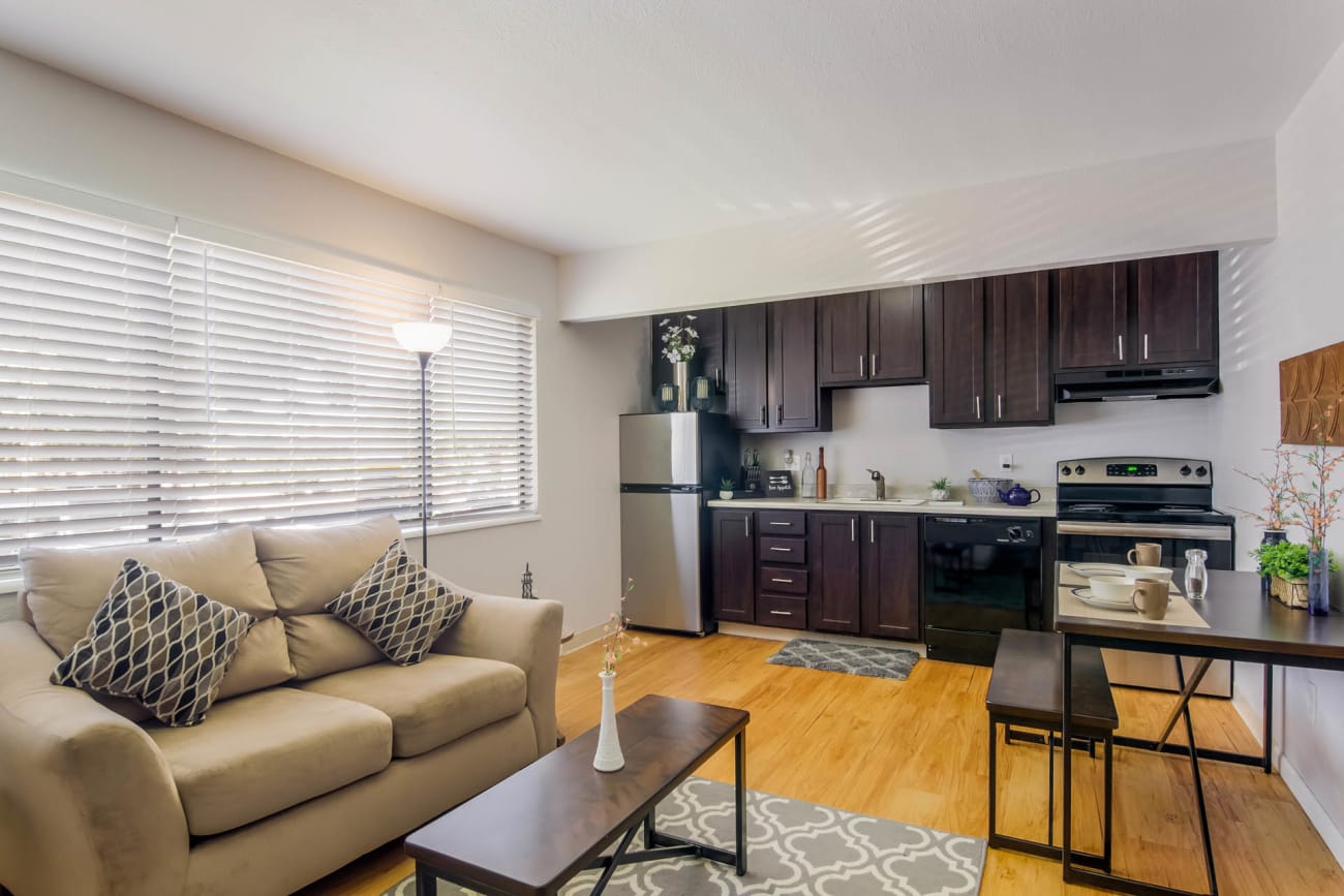 Living Room and Kitchen
