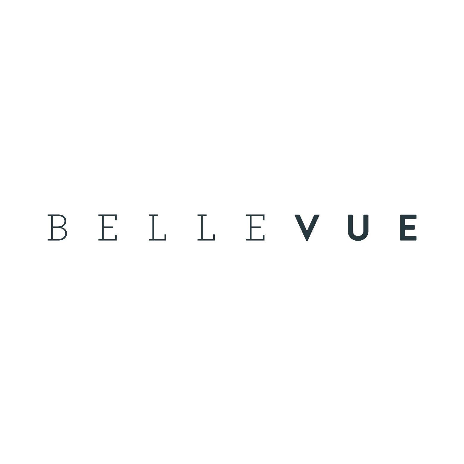 Seehotel Bellevue