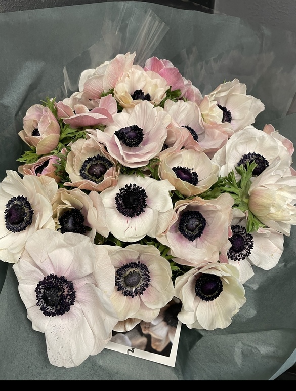 Images Flowerhouse i Lund AB