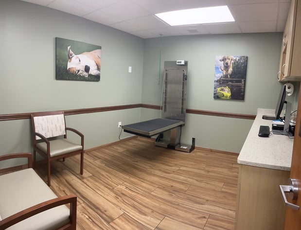 Images VCA Sanibel Animal Hospital
