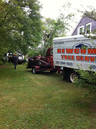Images Newcomb's Tree Service, LLC