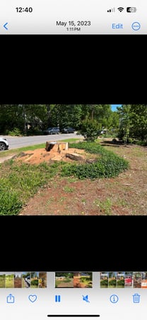 Images Grinder Stump Removal