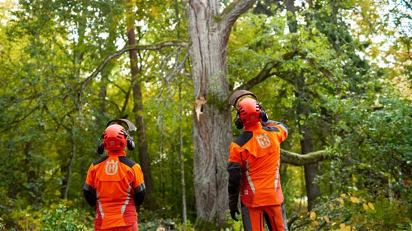 Images Touran Puu-apu Oy