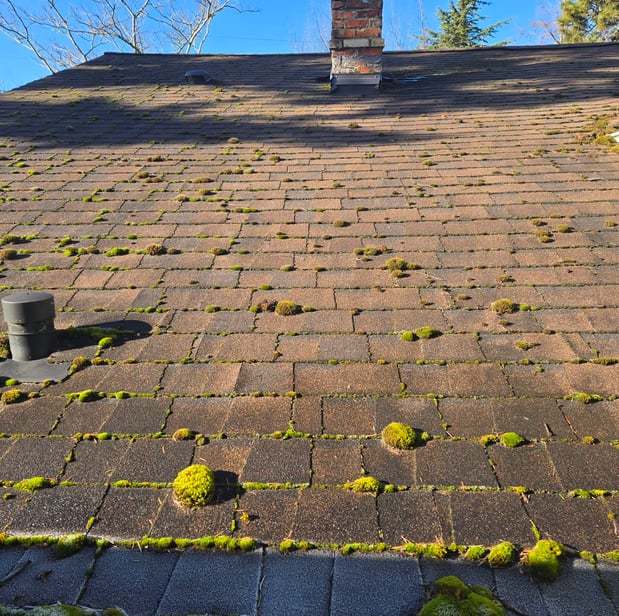 Images Code of Honor Contracting