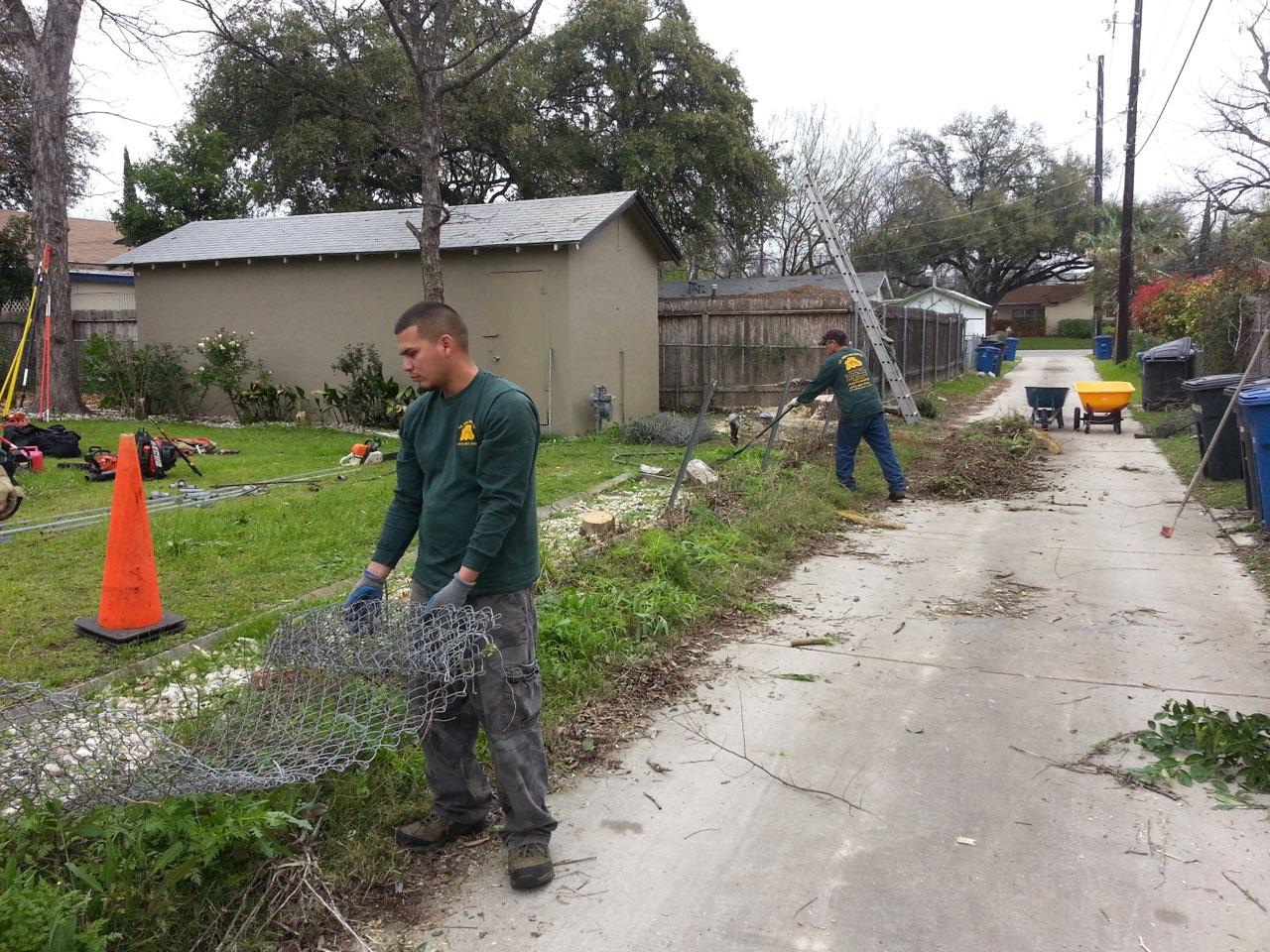 SA Total Tree Service Photo