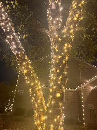 Images Light Your Night