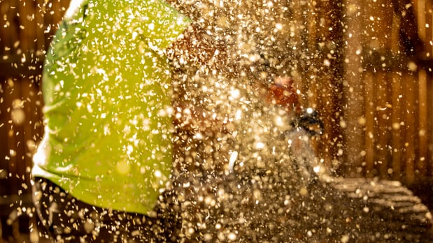 Images King Tree Service