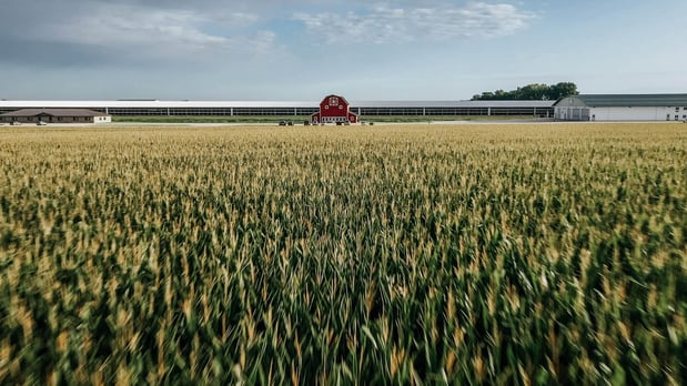 Images Where Food Comes From Inc