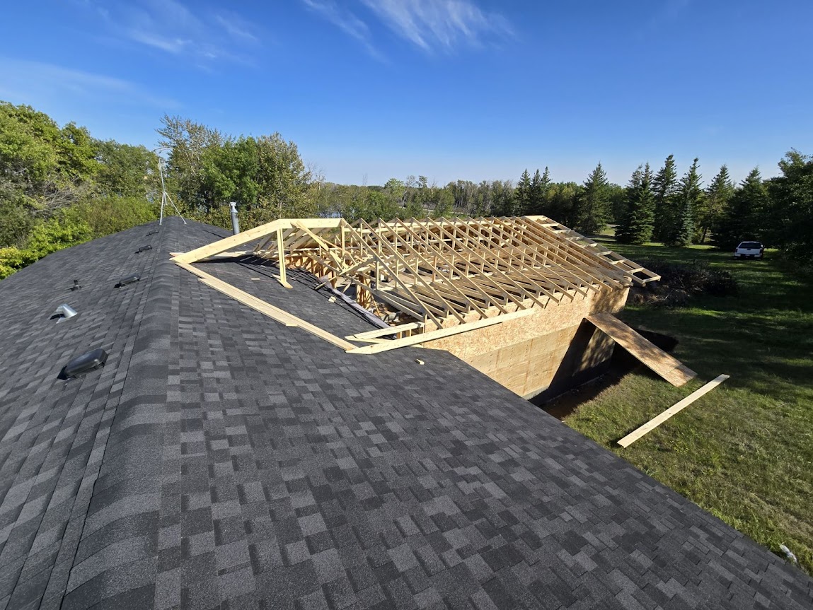 Images The Blue Spruce Builder