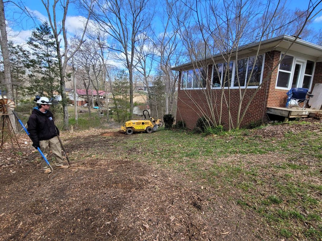 Piedmont Stump Grinding Image