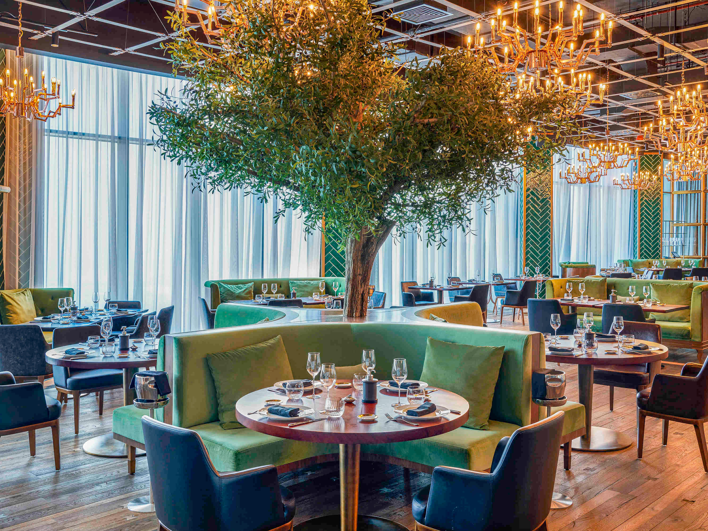 Restaurant - Carna